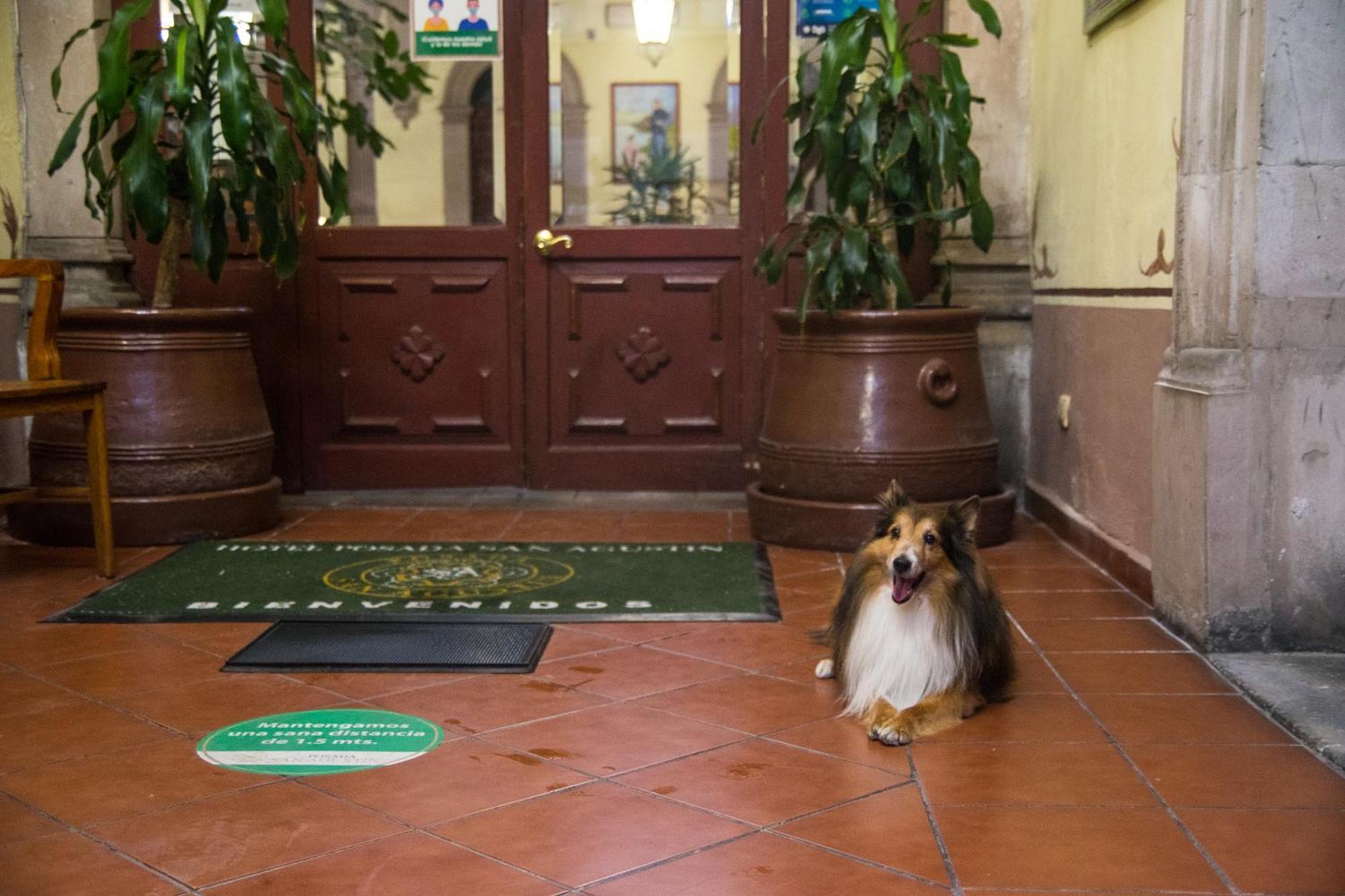 Hotel Posada San Agustin Durango Extérieur photo