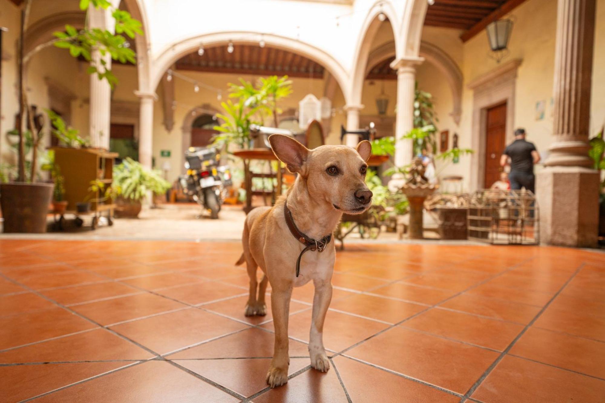 Hotel Posada San Agustin Durango Extérieur photo
